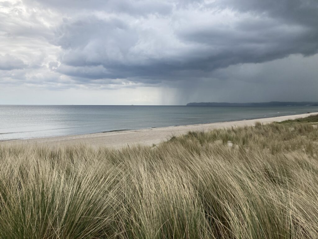 #WennImSystemWetterIst #InneresWetter #NervensystemImAlarm #GewitterImSystem #RegulationStattDruck #OrientierungStattZusammenreissen